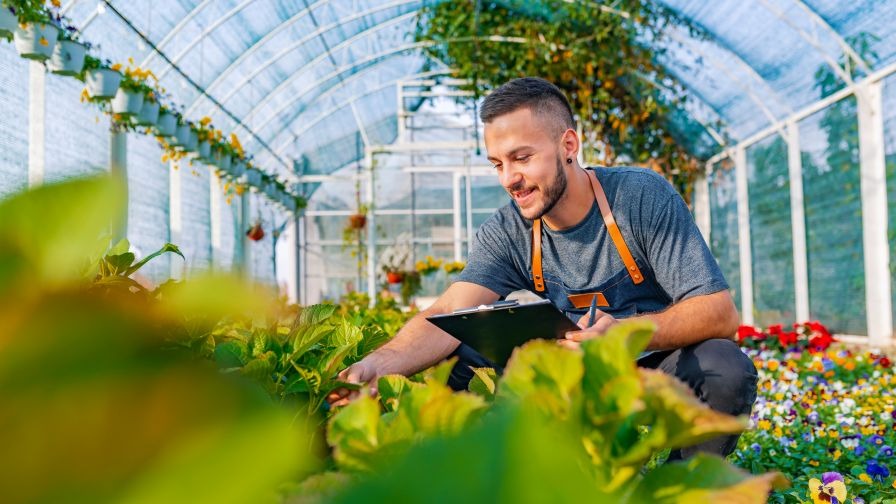 Picas Greenhouse Production System with Business Central