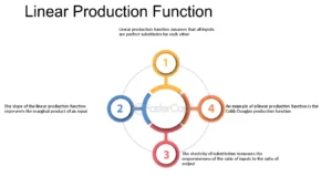 Production Function